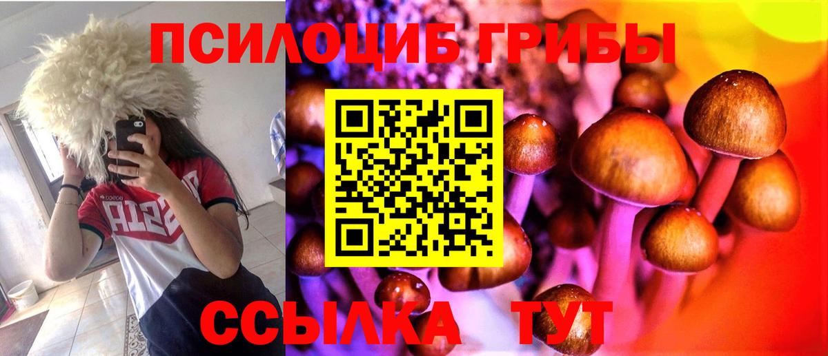 Галлюциногенные грибы Magic Shrooms Пугачёв