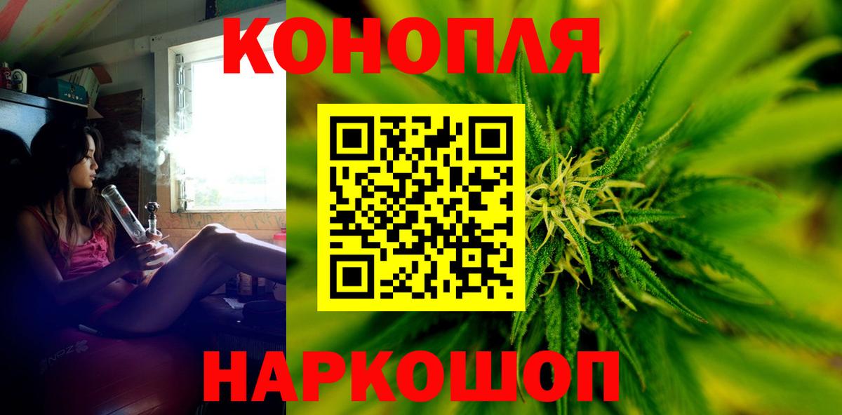 Пугачёв  Конопля тримм  Бошки Шишки White Widow  Марихуана White Widow  Канабис AK-47  Вход с VPN 